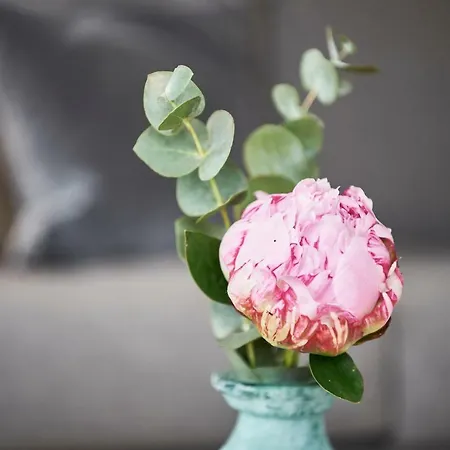 Boardinghome Oldenburg