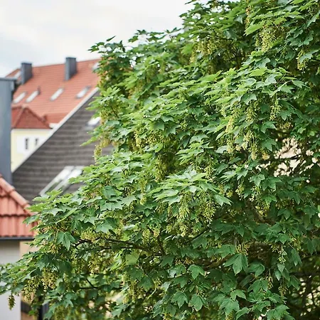 アパートホテル Boardinghome